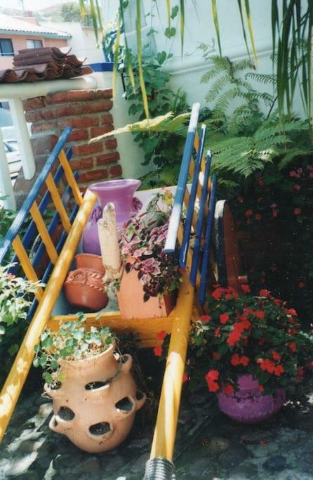 Amazingly Romantic Vacation For Your Honeymoon Tijuana Exterior photo
