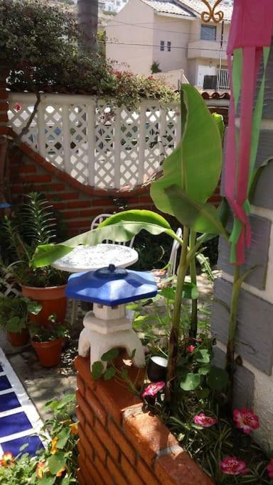 Amazingly Romantic Vacation For Your Honeymoon Tijuana Exterior photo